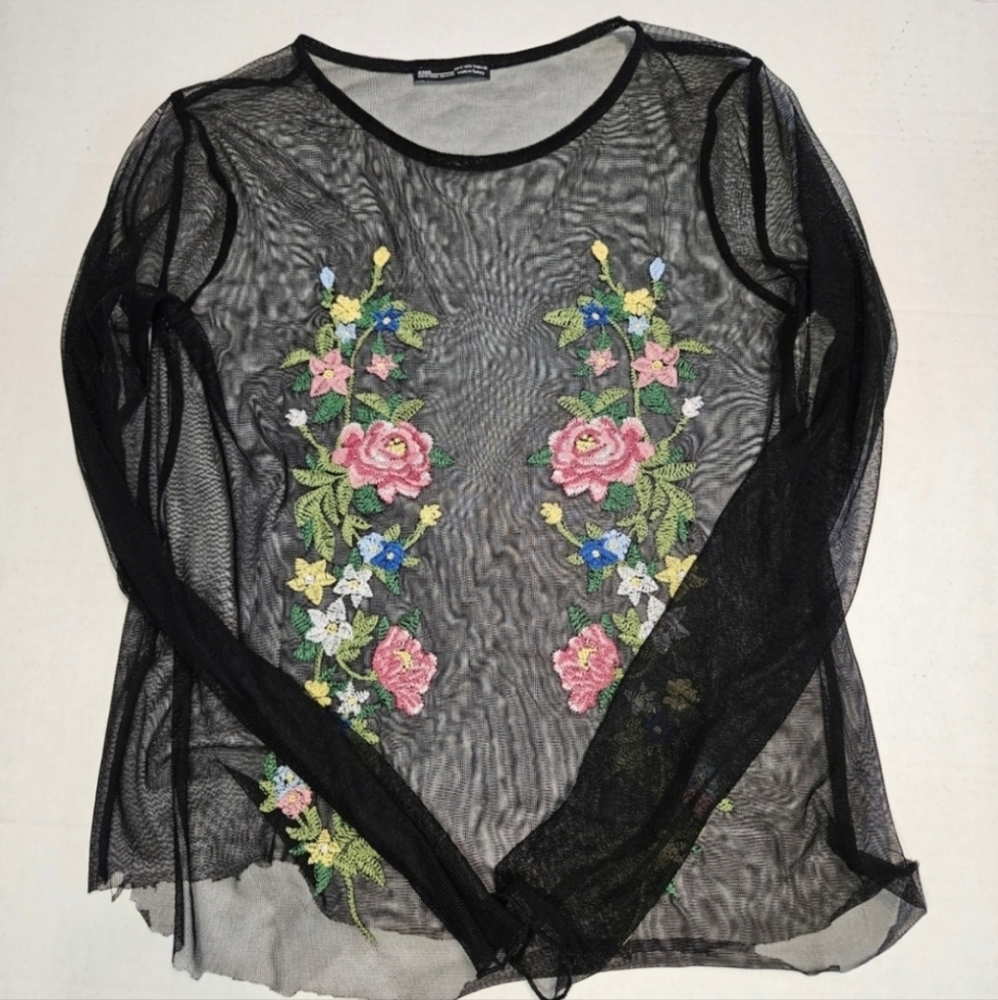 Zara Embroidered Sheer Long Sleeve Top